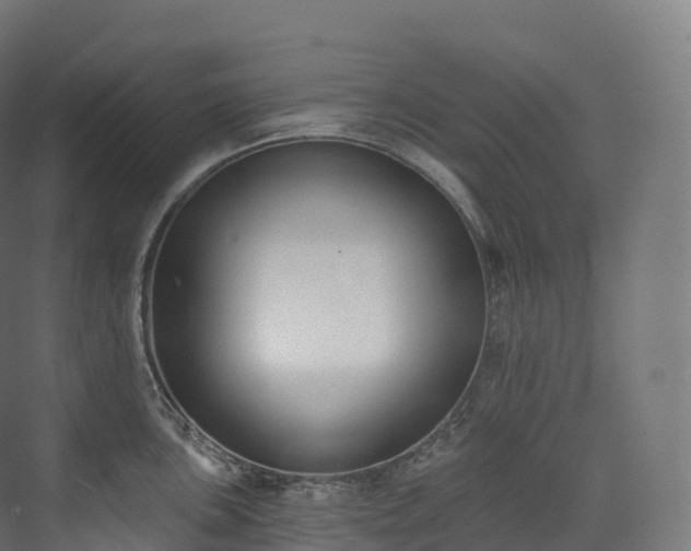 X0000073481051200608071016