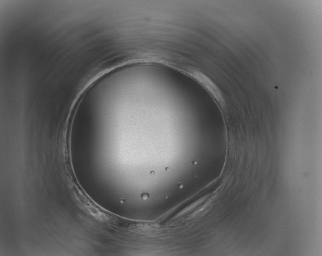 X0000073481052200608071016