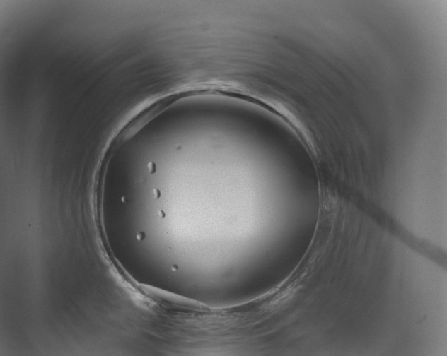 X0000073481054200608071016