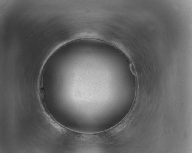 X0000073481056200608071016