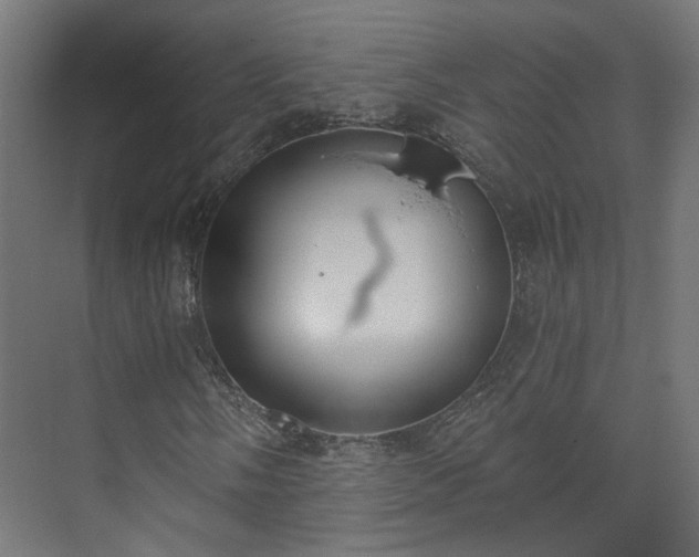 X0000073481058200608071015