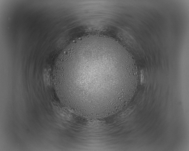 X0000073481059200608071015