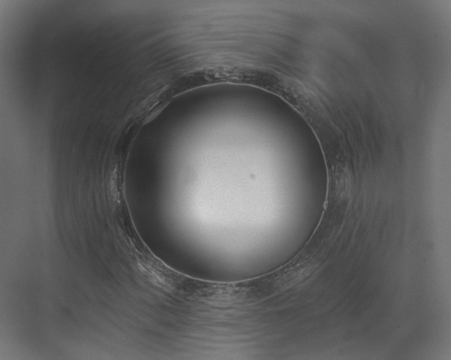 X0000073481060200608071015