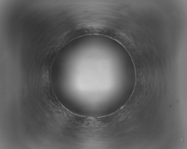 X0000073481061200608071015