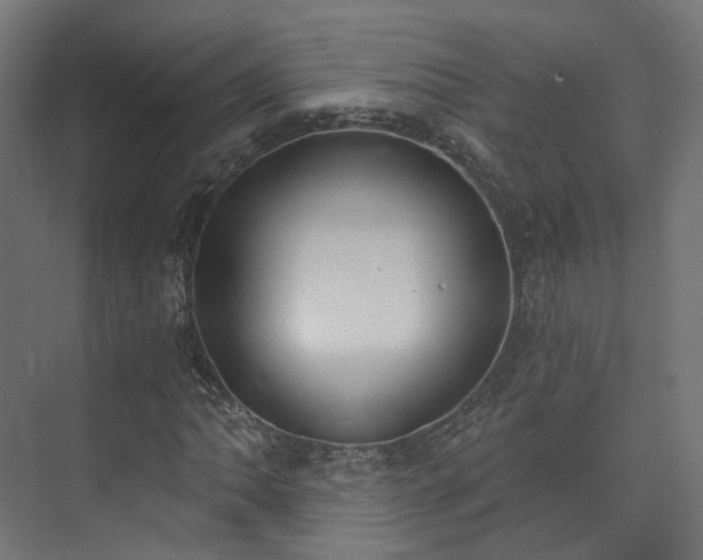 X0000073481062200608071015