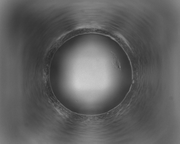 X0000073481064200608071015