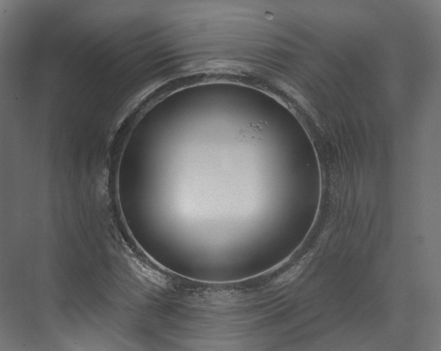 X0000073481066200608071015