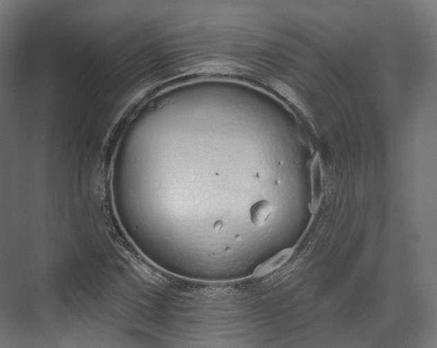 X0000073481067200608071015