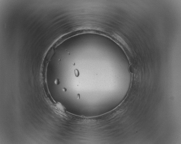 X0000073481068200608071015