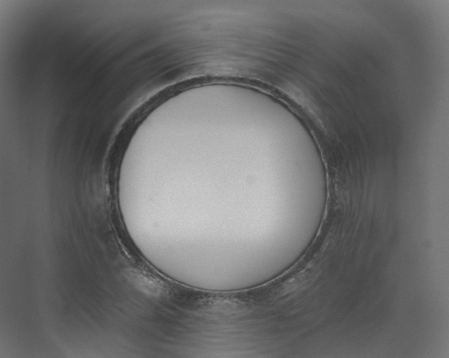 X0000073481070200608071015