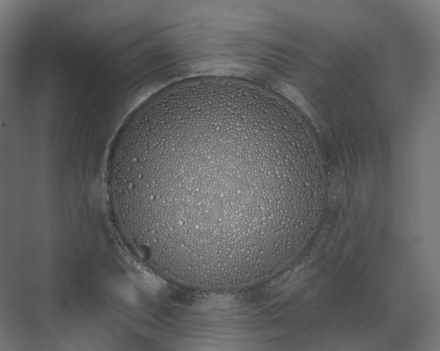 X0000073481071200608071015