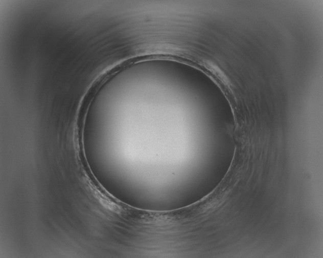 X0000073481072200608071015