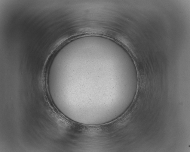 X0000073481074200608071015