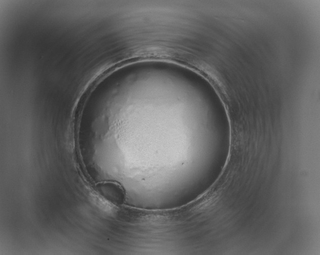 X0000073481075200608071015