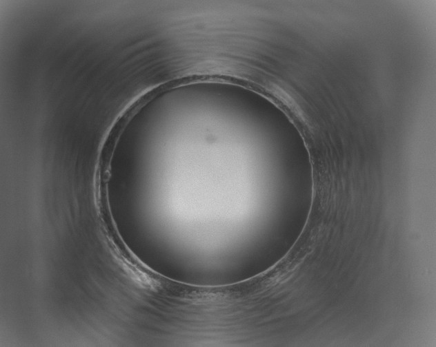 X0000073481076200608071015