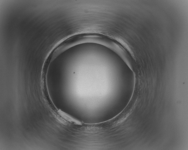 X0000073481077200608071015