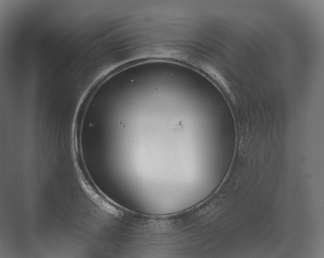 X0000073481080200608071015