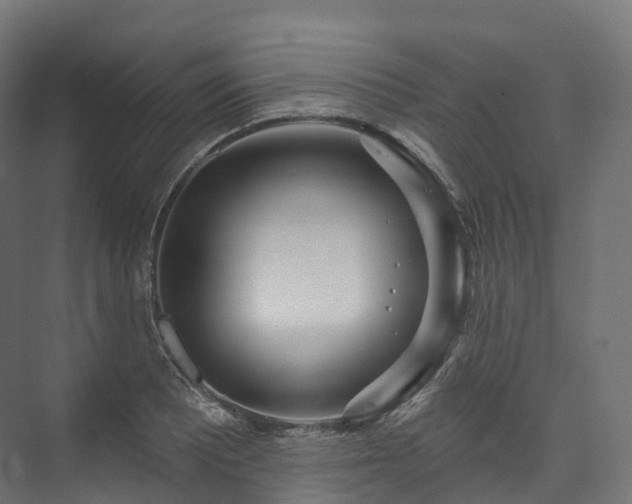 X0000073481081200608071014