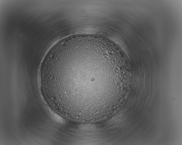 X0000073481083200608071014