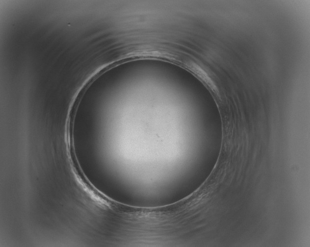 X0000073481084200608071014