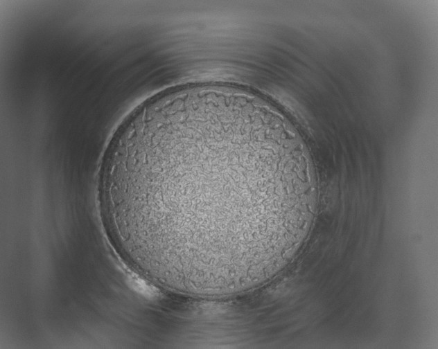 X0000073481086200608071014