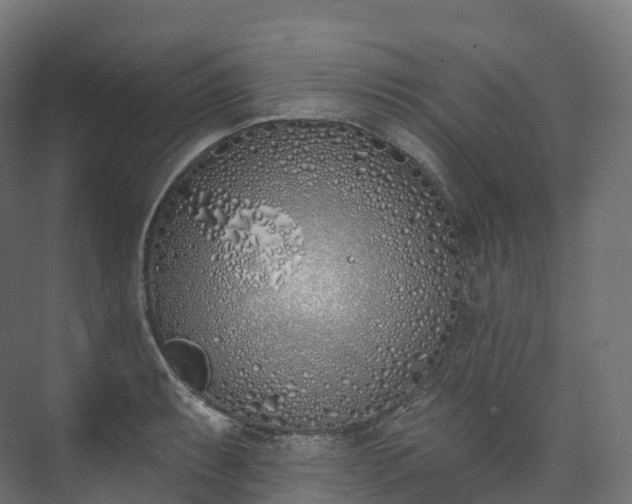 X0000073481087200608071014