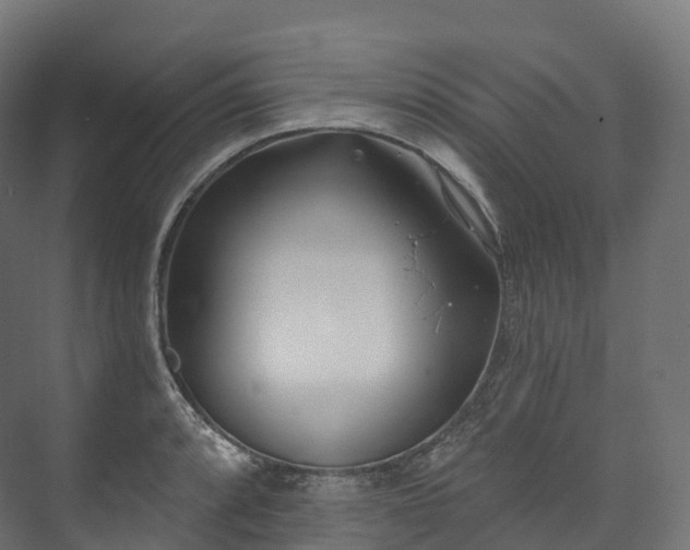 X0000073481088200608071014