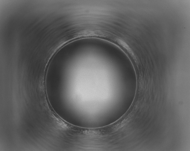 X0000073481089200608071014