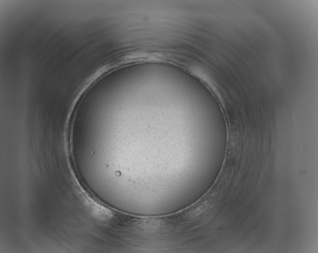 X0000073481090200608071014