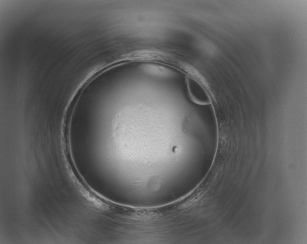 X0000073481091200608071014