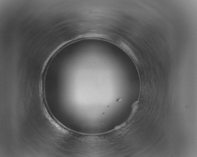 X0000073481092200608071014