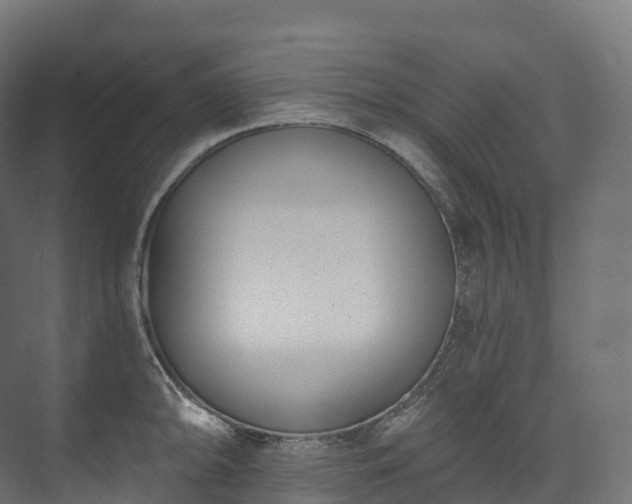 X0000073481094200608071014