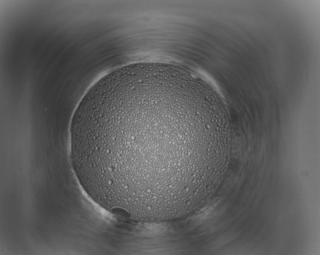 X0000073481095200608071014