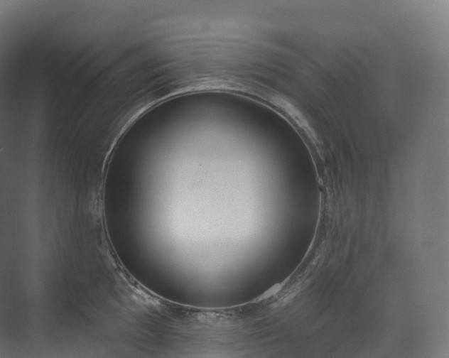 X0000073481097200608071014