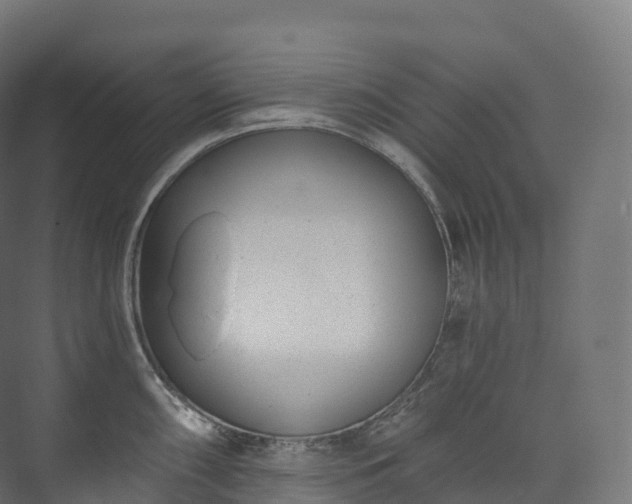 X0000073481098200608071014