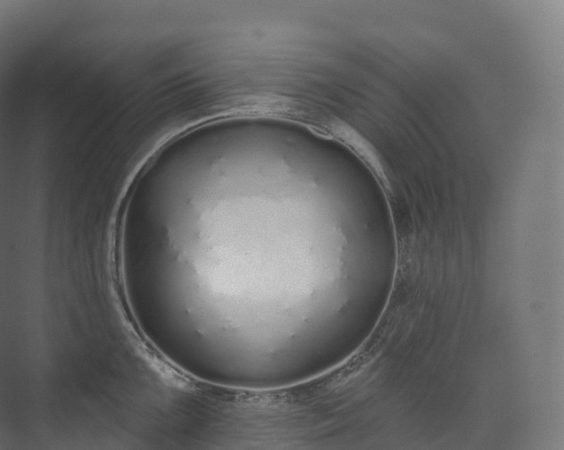 X0000073481099200608071014