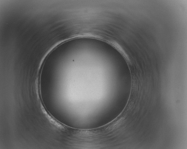 X0000073481100200608071014