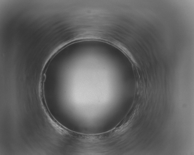 X0000073481101200608071014