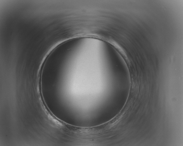 X0000073481102200608071014