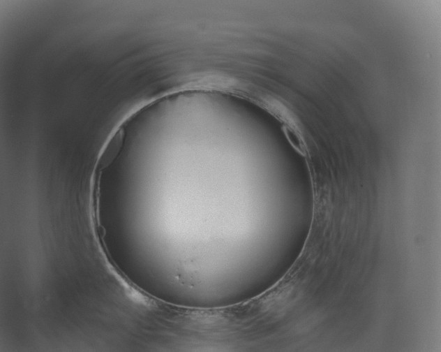 X0000073481103200608071014