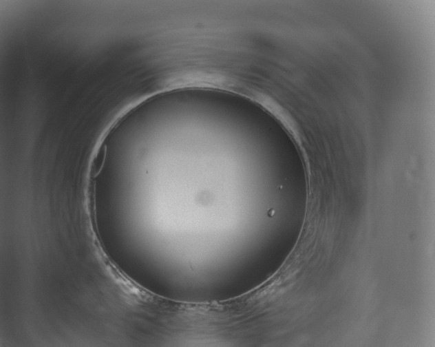 X0000073481104200608071014