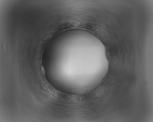 X0000073481105200608071013