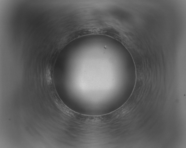 X0000073481106200608071013