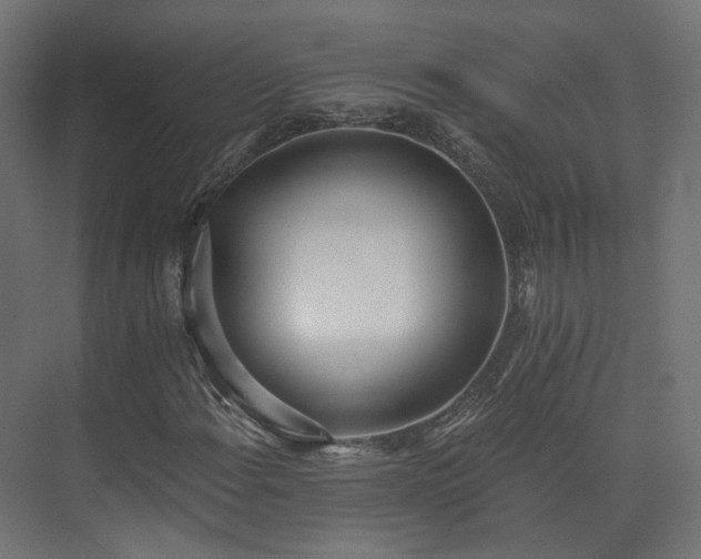 X0000073481108200608071013