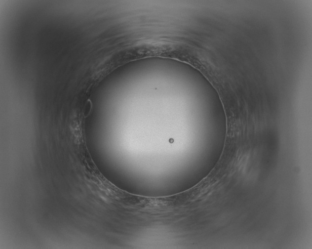 X0000073481109200608071013