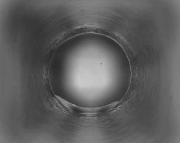 X0000073481110200608071013