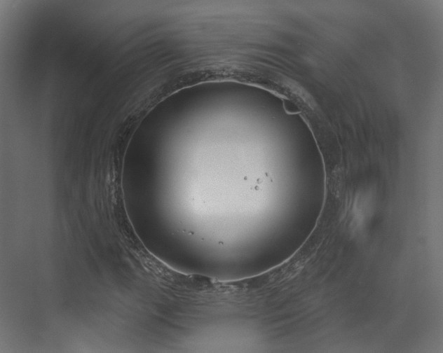 X0000073481111200608071013