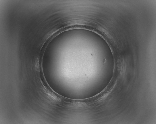 X0000073481113200608071013