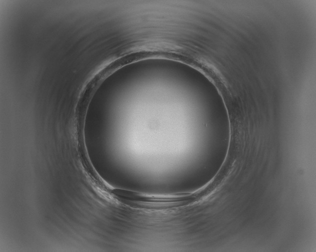 X0000073481114200608071013