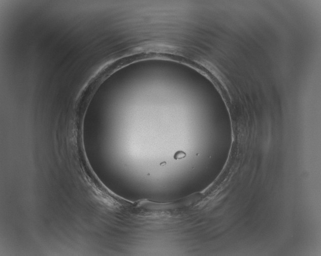 X0000073481115200608071013